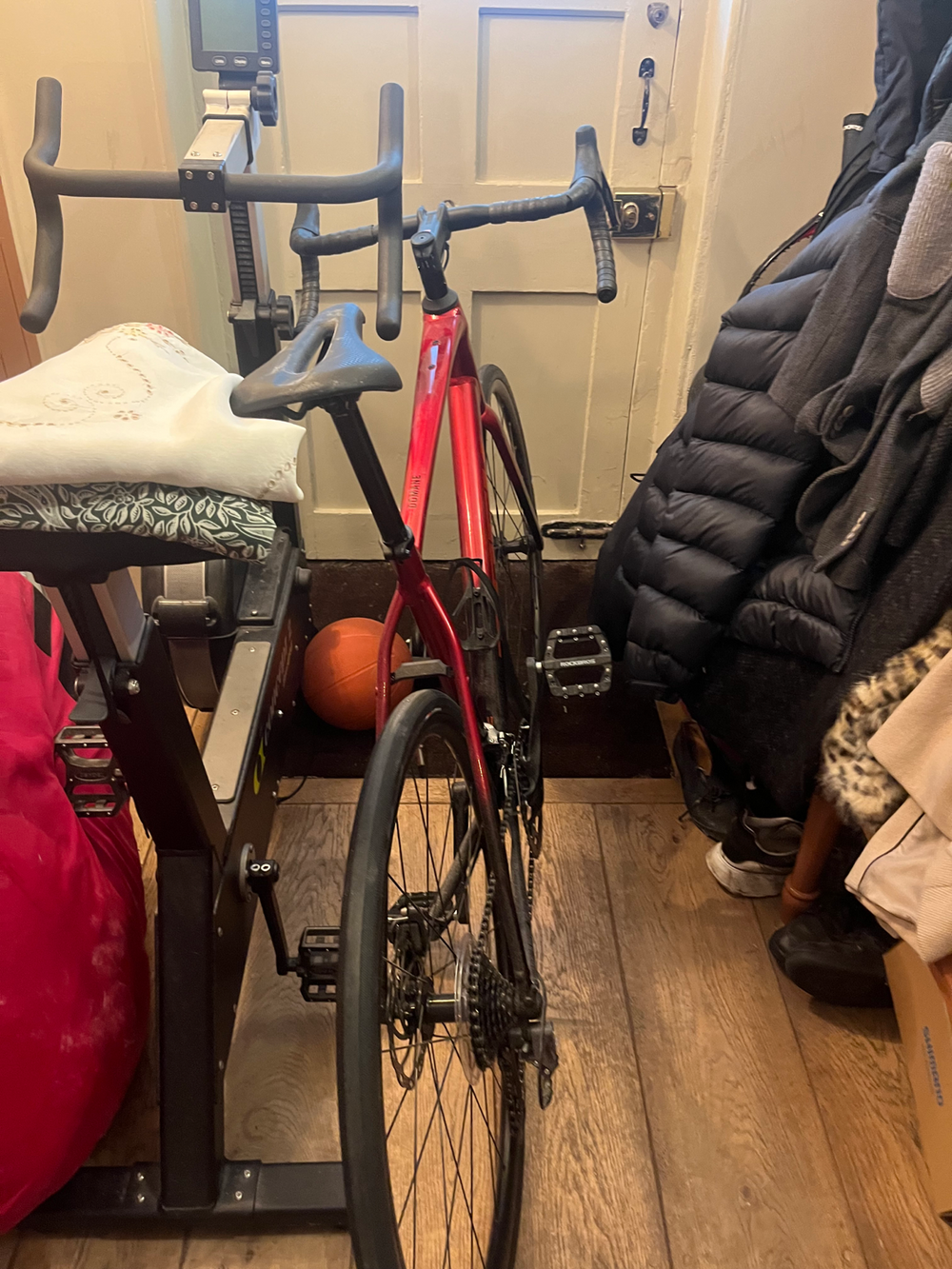 Trek Domane AL 2 Gen 4 2024