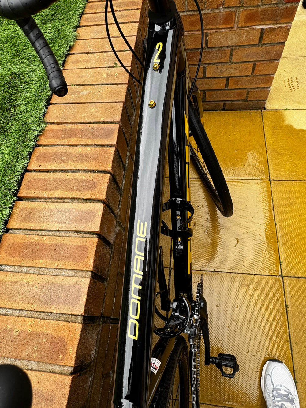 Trek Domane AL 2 Disc 2024