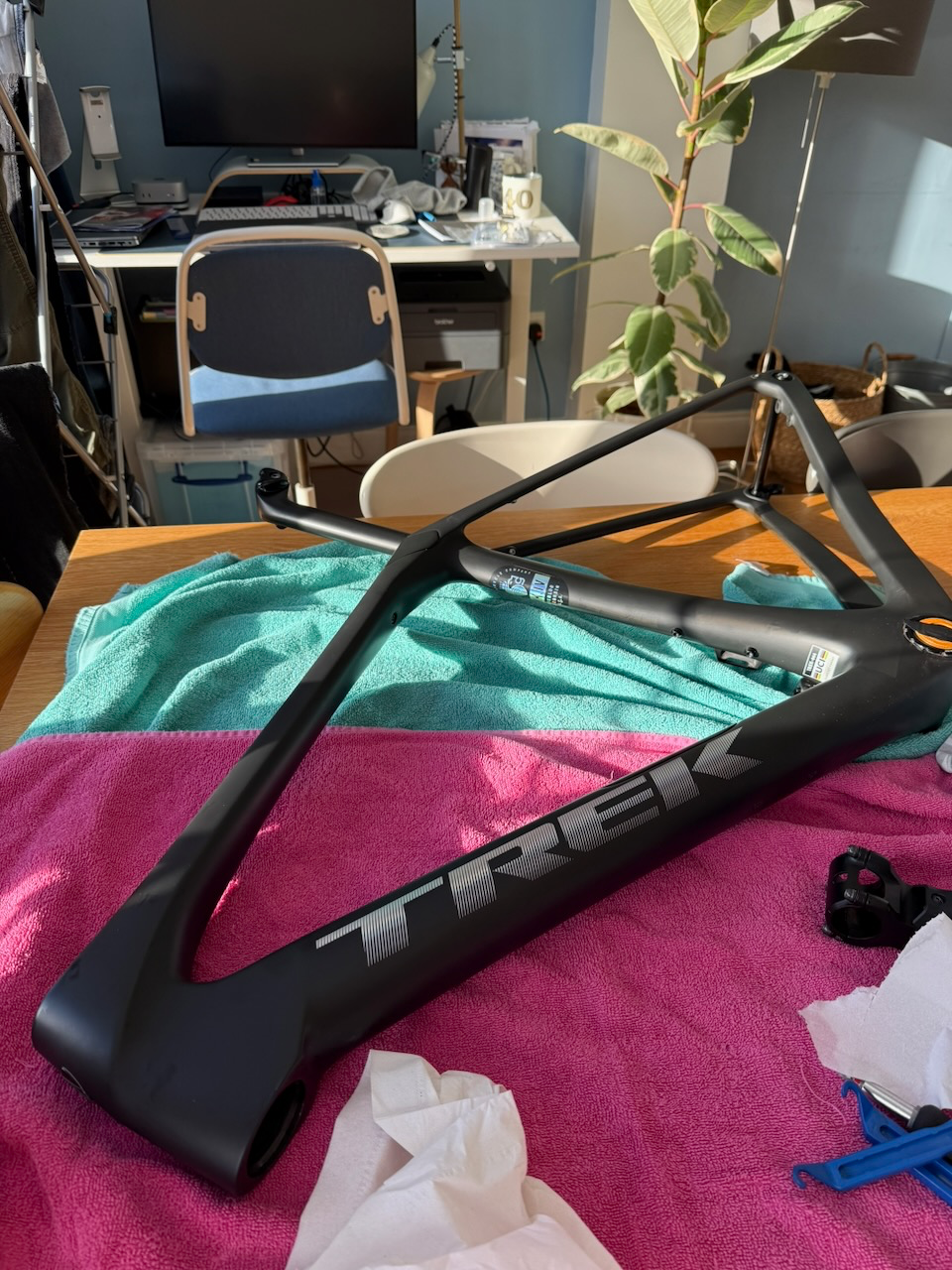 Trek Domane SLR Gen 4 Frameset 2024