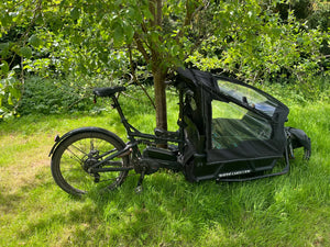 Riese and Muller Load 75 Vario 2019