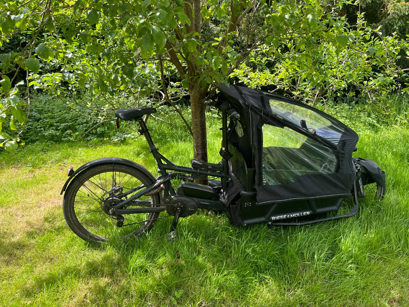 Riese and Muller Load 75 Vario 2019