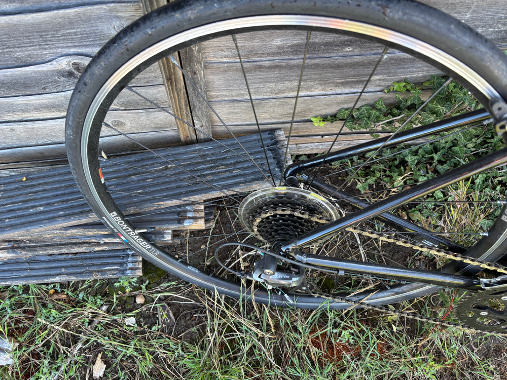Trek Domane AL 2 2024