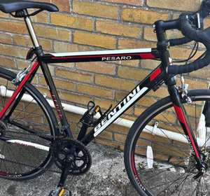 Bentini Pesaro 2022