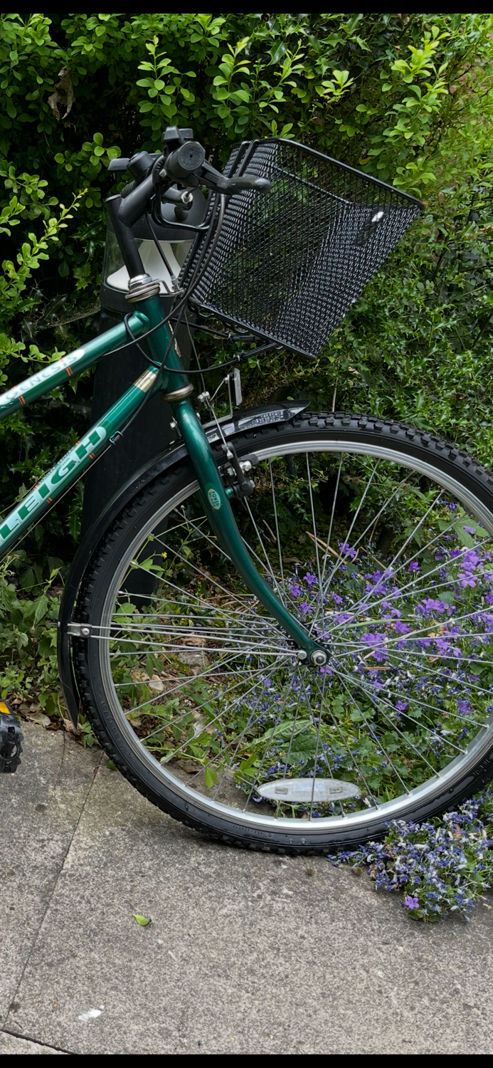 Raleigh Genesis 1990