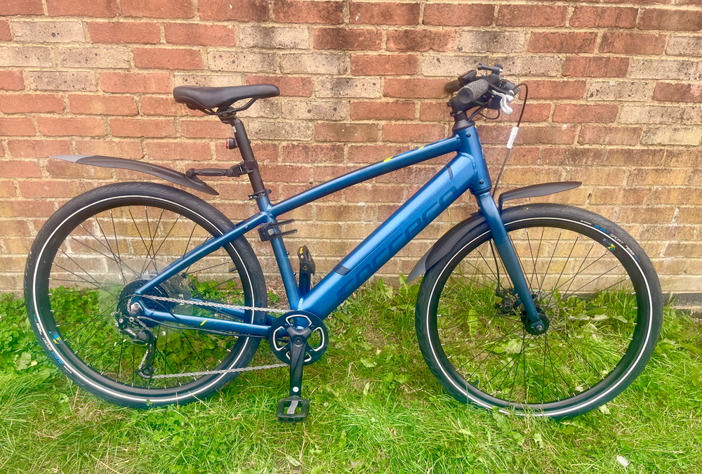 Carrera impel im 2022