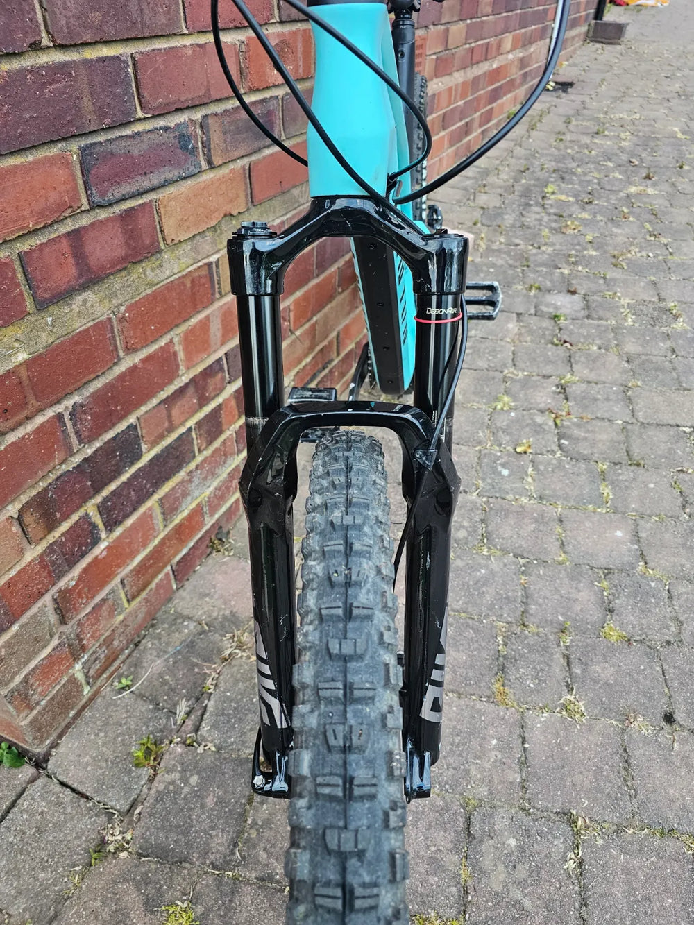 Canyon Spectral CF 9 2021