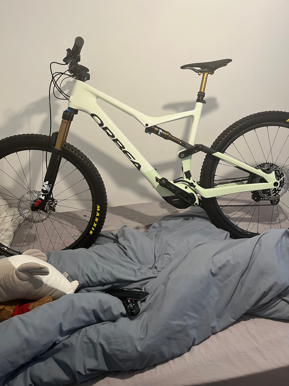 Orbea RISE M-LTD 20mph 2022