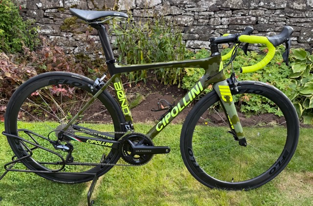 Cipollini Bond 2019