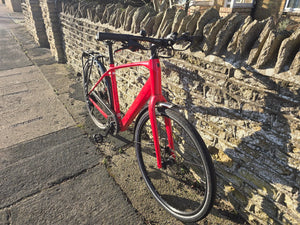 Trek FX+ 2 LT 2024
