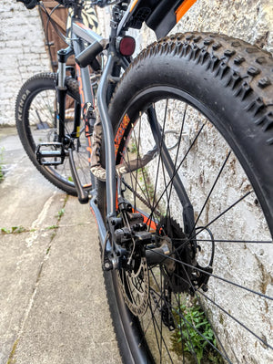 Carrera Vendetta 2020