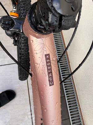 Scott Contessa 50 2024
