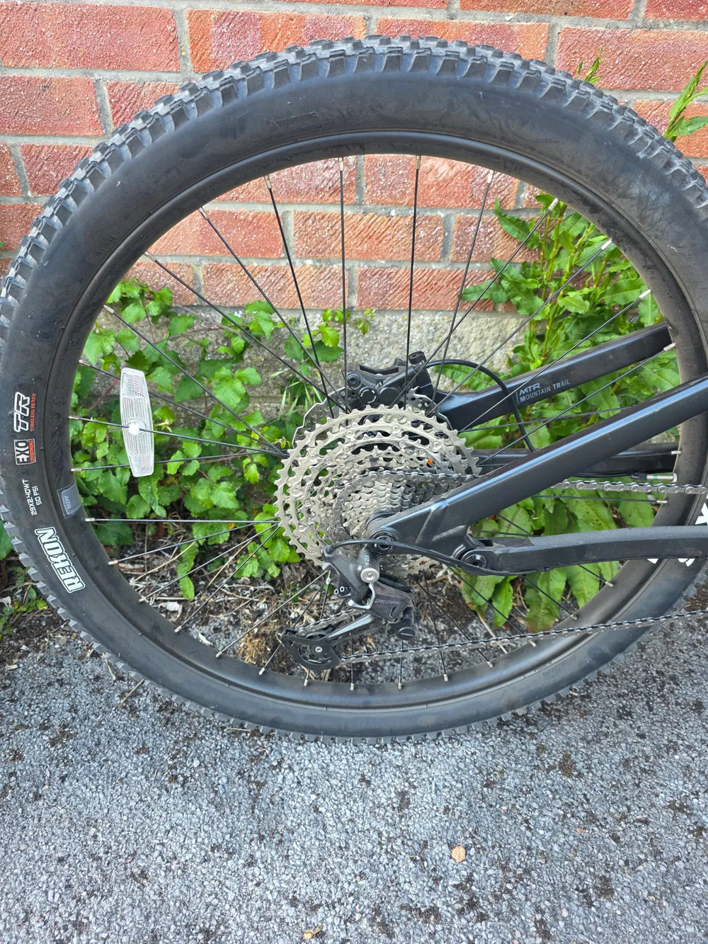 Boardman MTR 8.9 2024