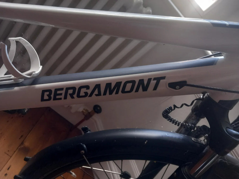 Bergamont Horizon 6 Amsterdam 2020
