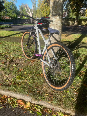 Vitus Nucleus 29 2024