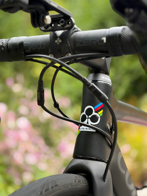 Colnago CLX Disc Ultegra 2021