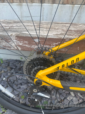 Giant Talon 3 - 29 Wheel - Beeswax 2025