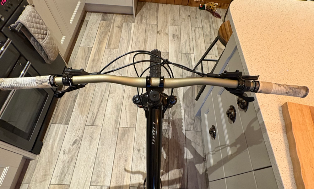 Giant Trance X 29 3 2021