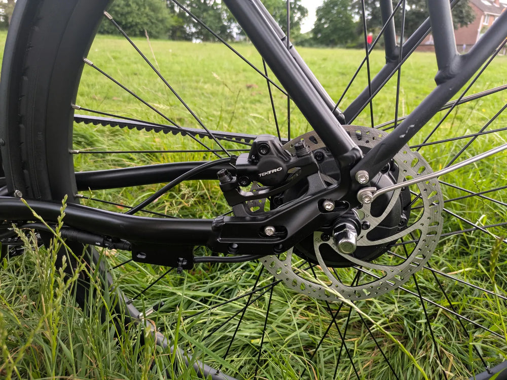 Buzzbike EZ 2024