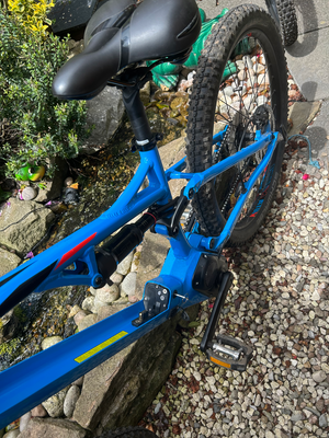 BH ATOM Lynx 5.5 2019