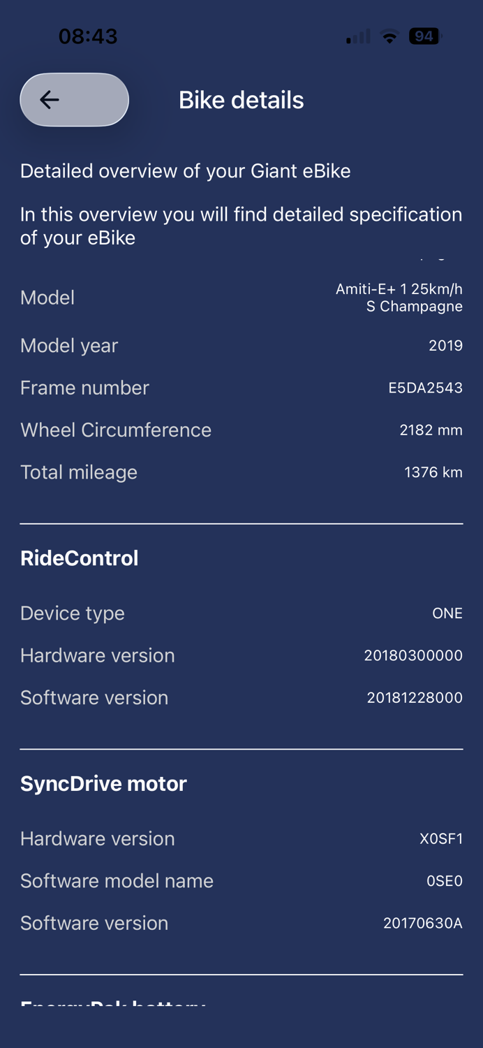 Giant Amti E+ 2019