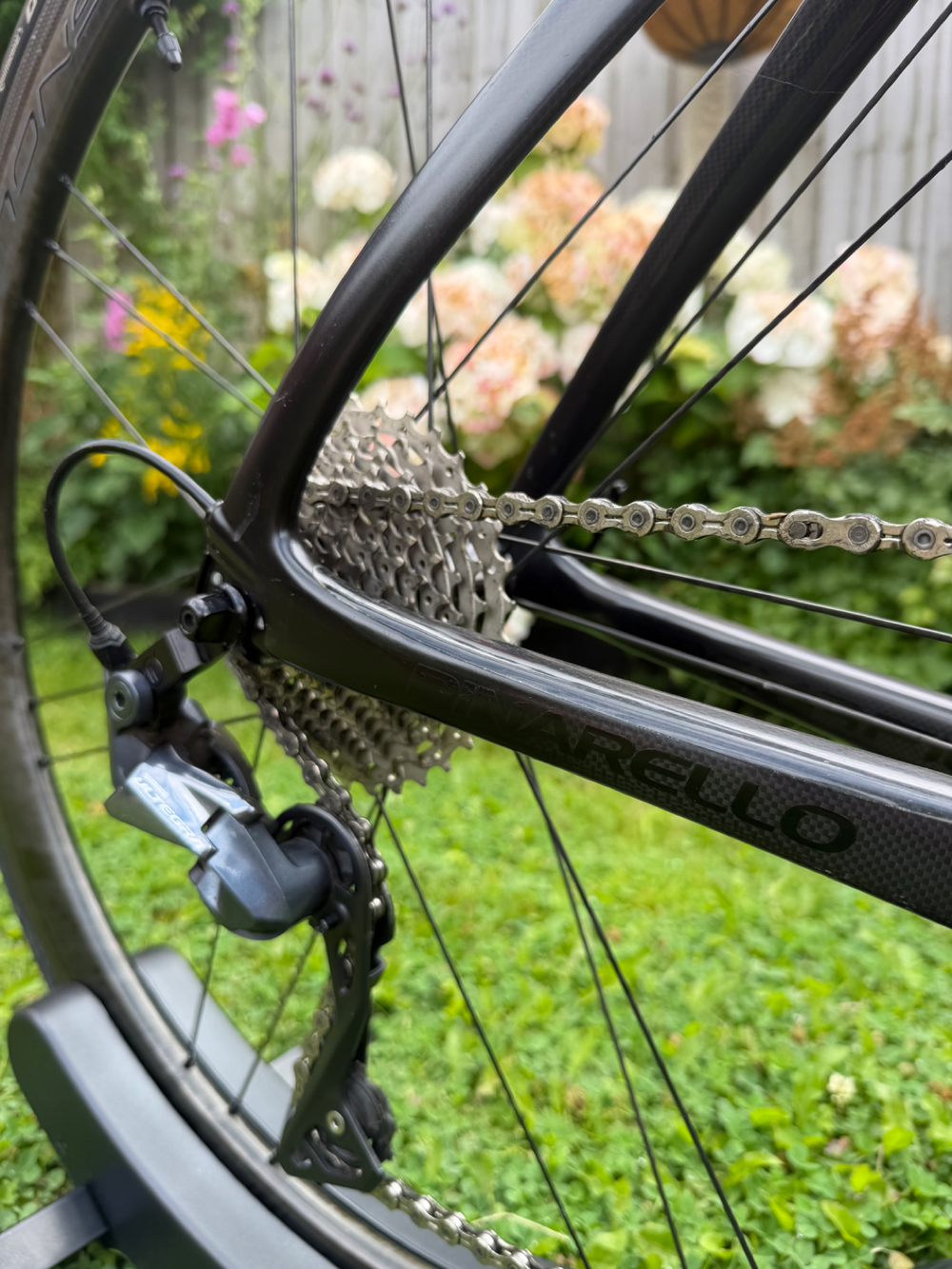Pinarello Dogma F10 2019
