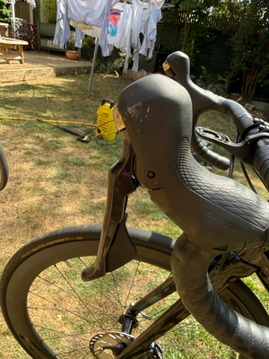 Focus Izalco Max 8.8 2020
