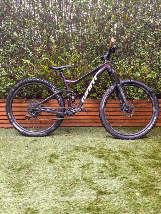 Giant Stance 29 1 2022