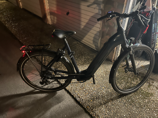 Raleigh Motus Grand Tour