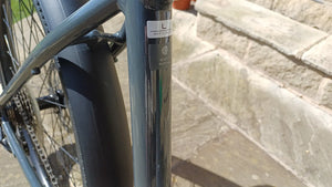 Trek Allant+ 5 2021