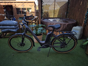 Raleigh Motus Ltd Lowstep Electric 2025