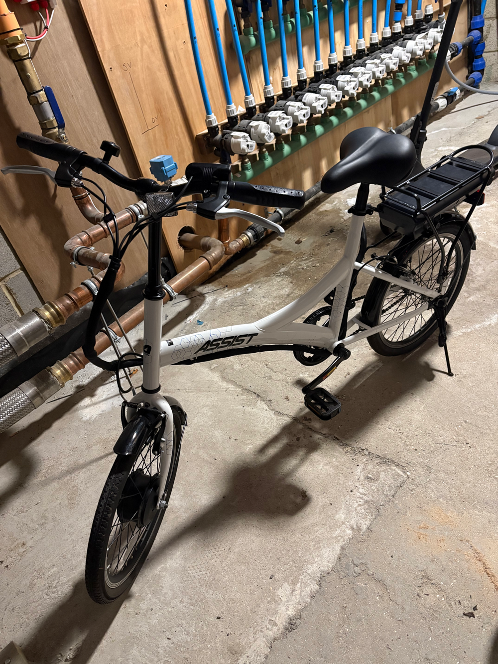 assist BX Assist 20 2021