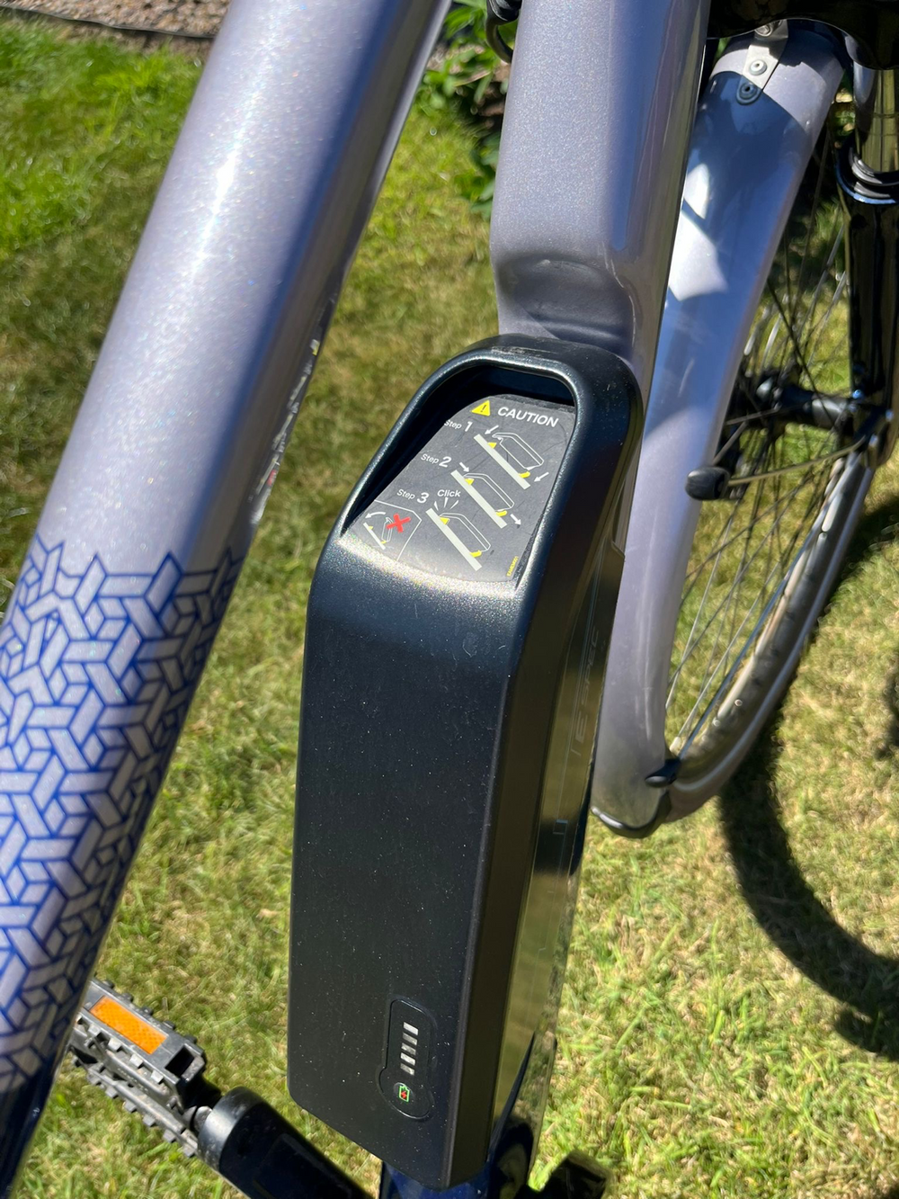 Raleigh Array 2021