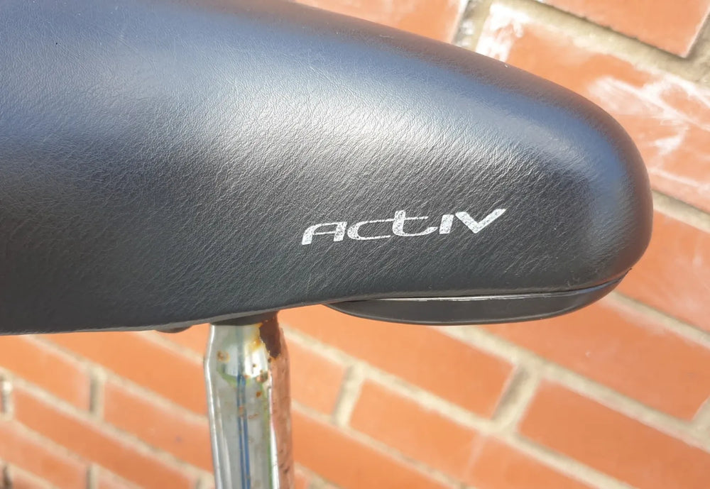 Raleigh Active Fold-s 2017