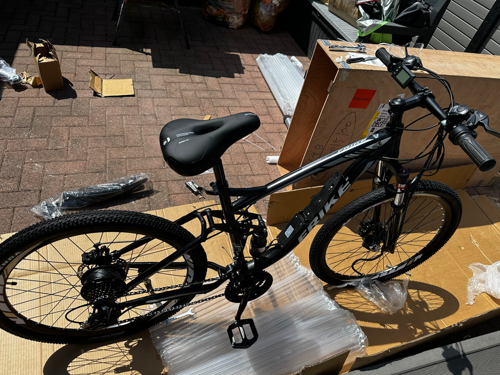 Frike E mountain bike 2025