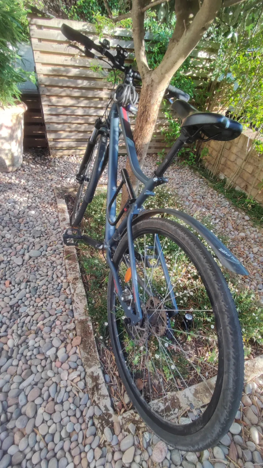 Riverside 500 2020
