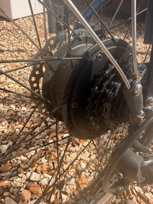 Raleigh Array E Motion Low Step 2022