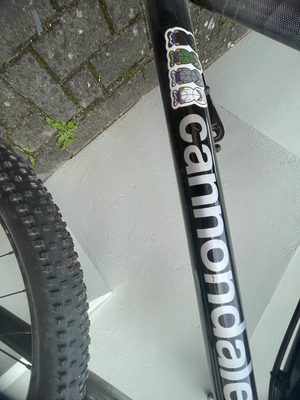Cannondale Trail 7 2023