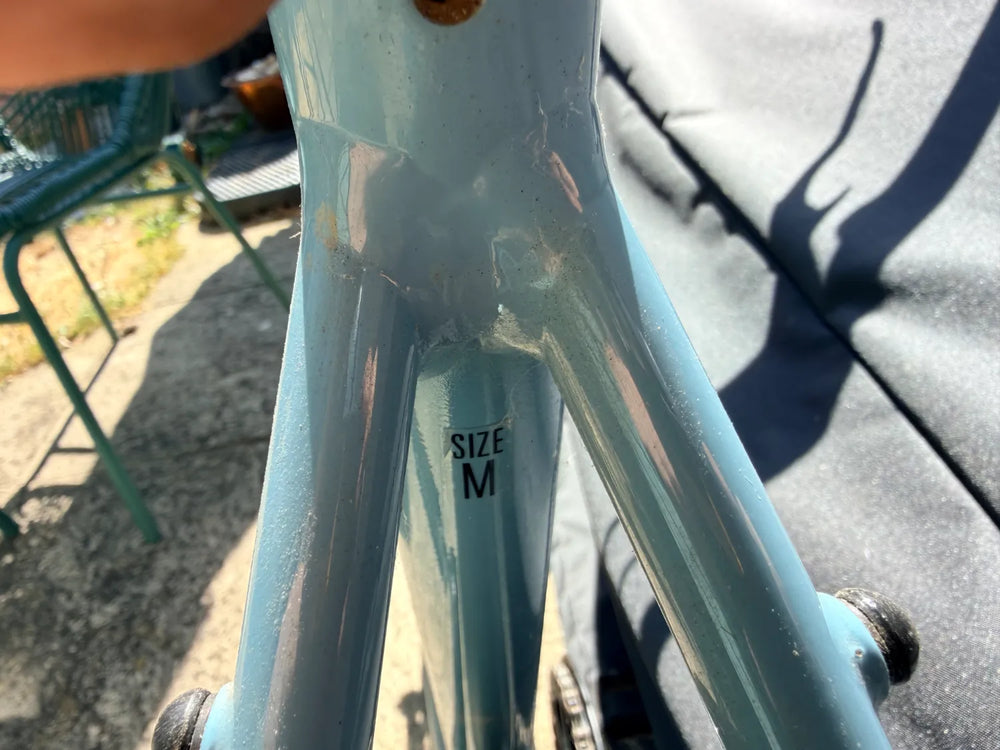 Raleigh Trace Electric 2023