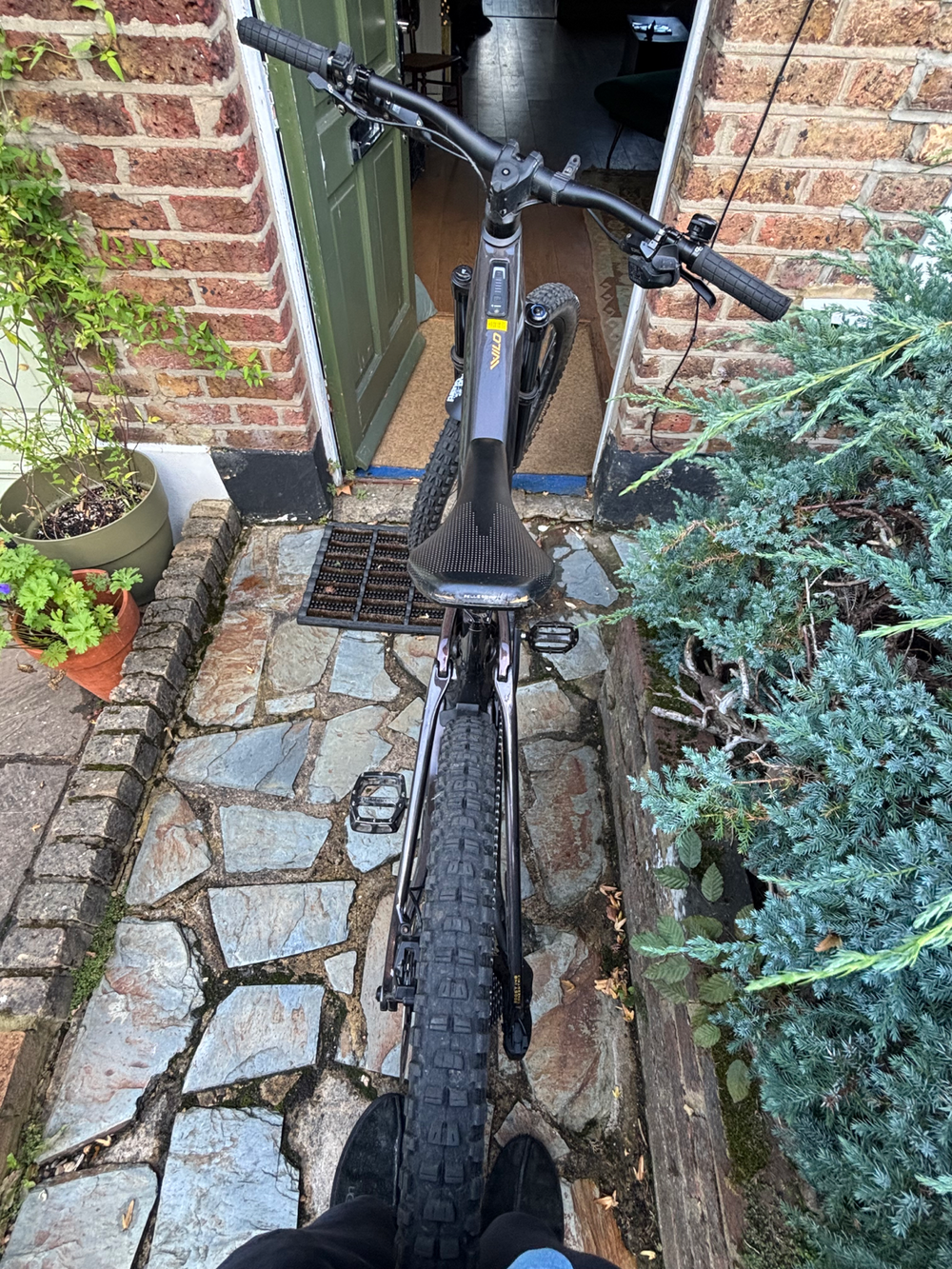 Orbea WILD M20 2023