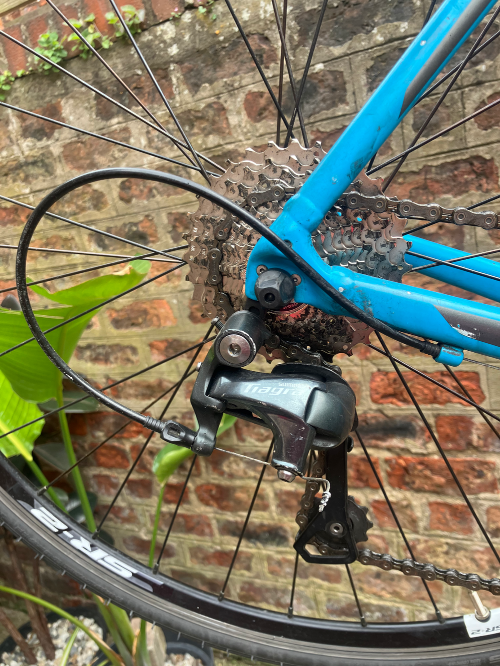 Giant Contend Sl 2 2018