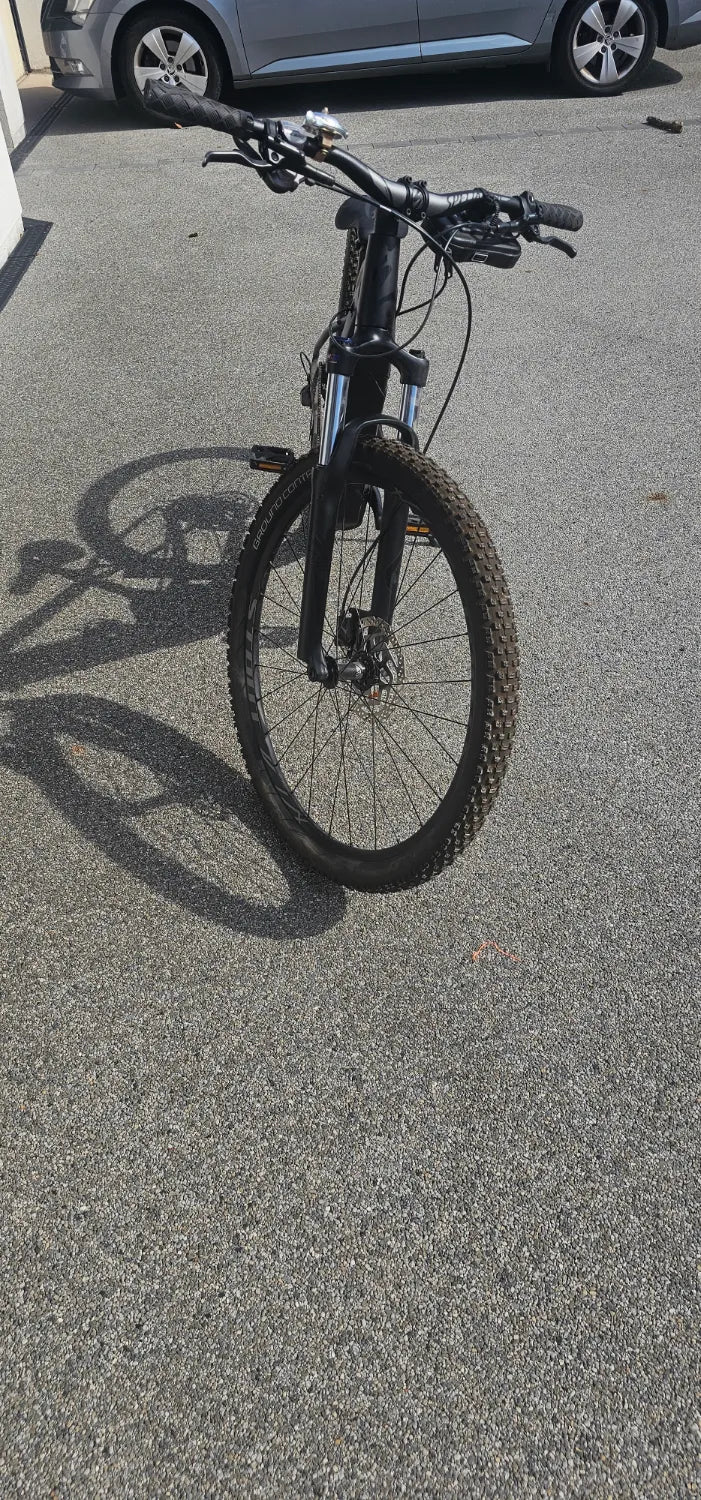 Specialized Turbo Levo Hardtail 2020