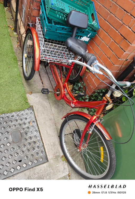 Adult Tricycle