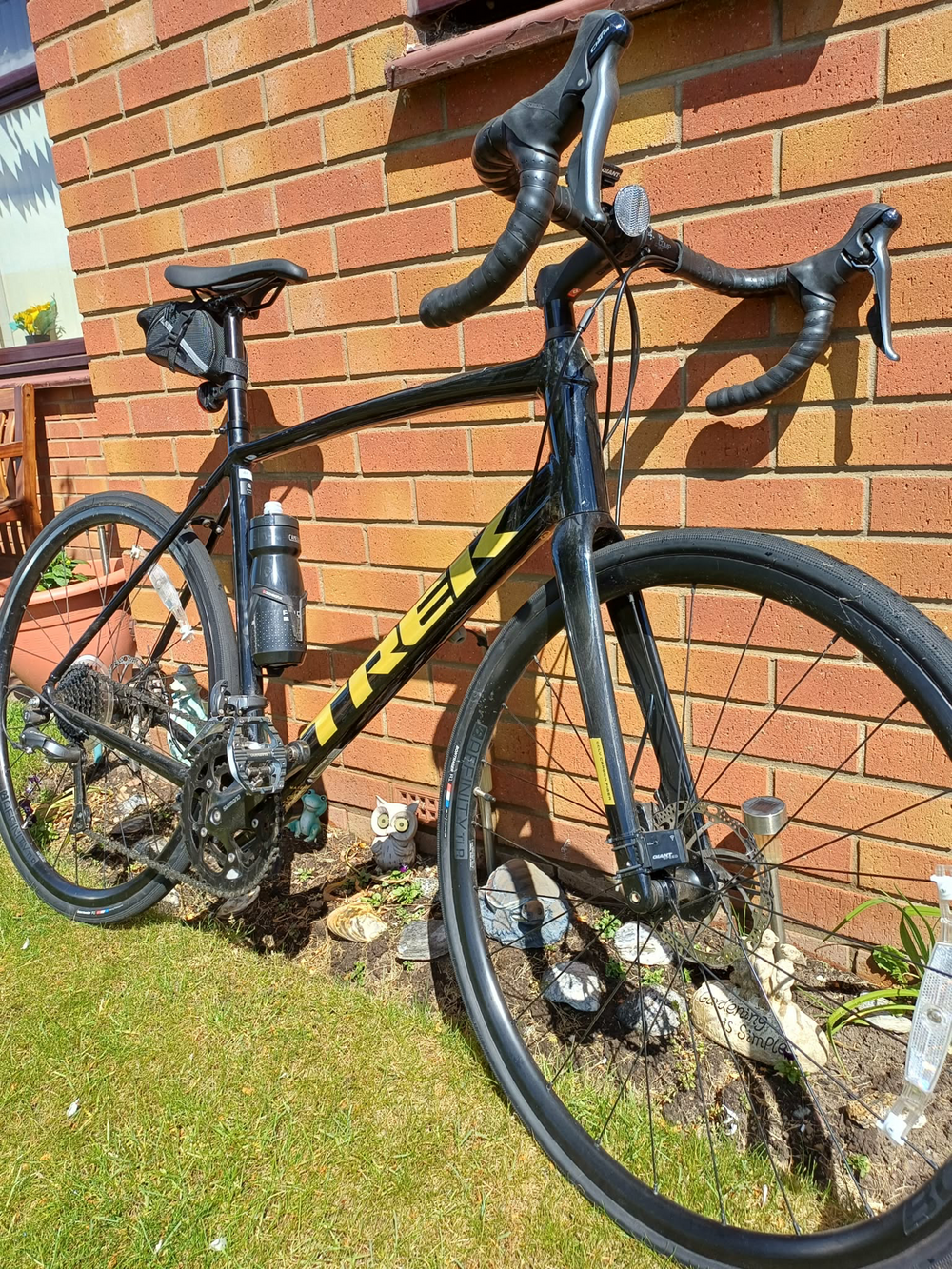 Trek Domane AL 2 2019