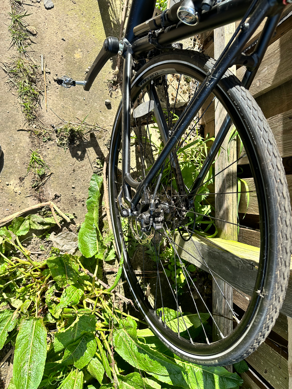 Carrera Zelos Mens Road Bike 2020