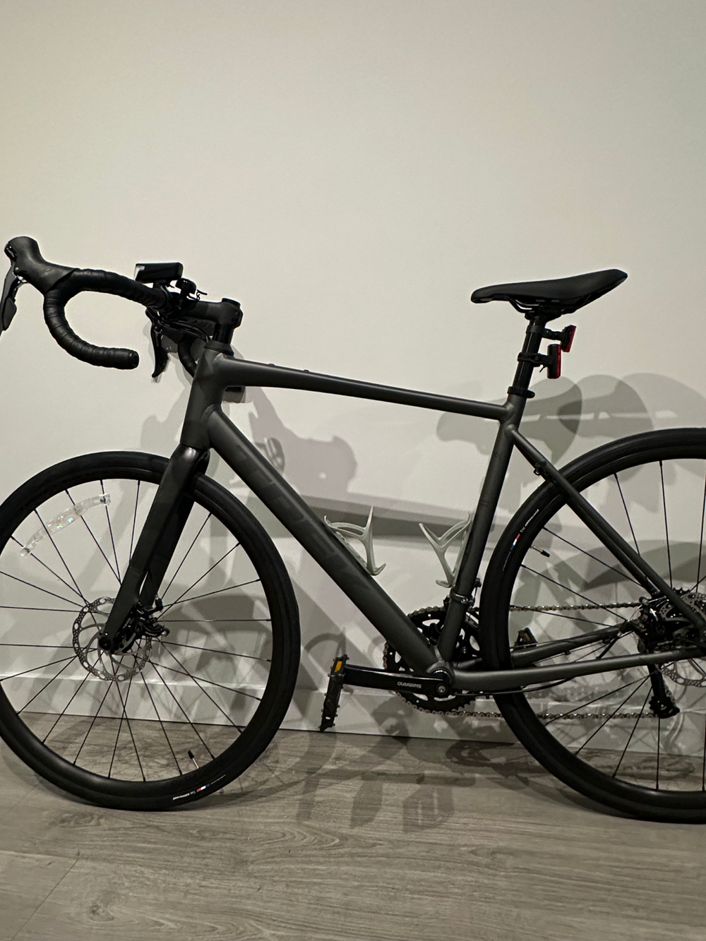 Trek Domane AL 2 Gen 4 2024