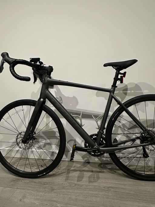 Trek Domane AL 2 Gen 4 2024