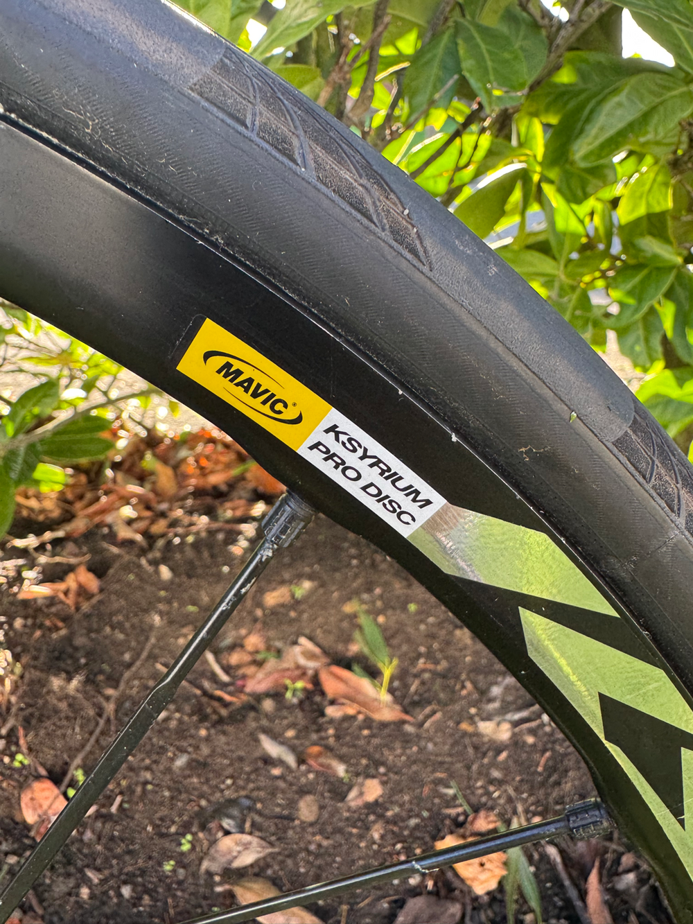 Colnago C60 Disc 2015