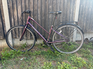 Ridgeback Velocity 2021