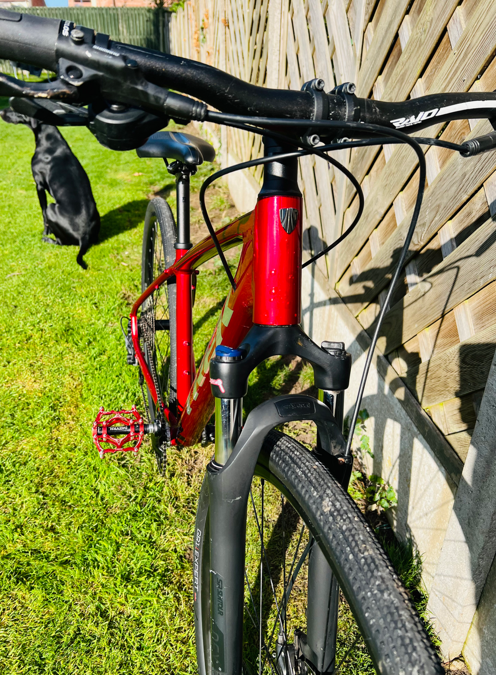 Trek Dual Sport 3  2020