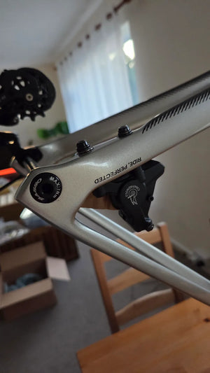 Basso Astra Campagnolo Chorus 12s Disc 2022